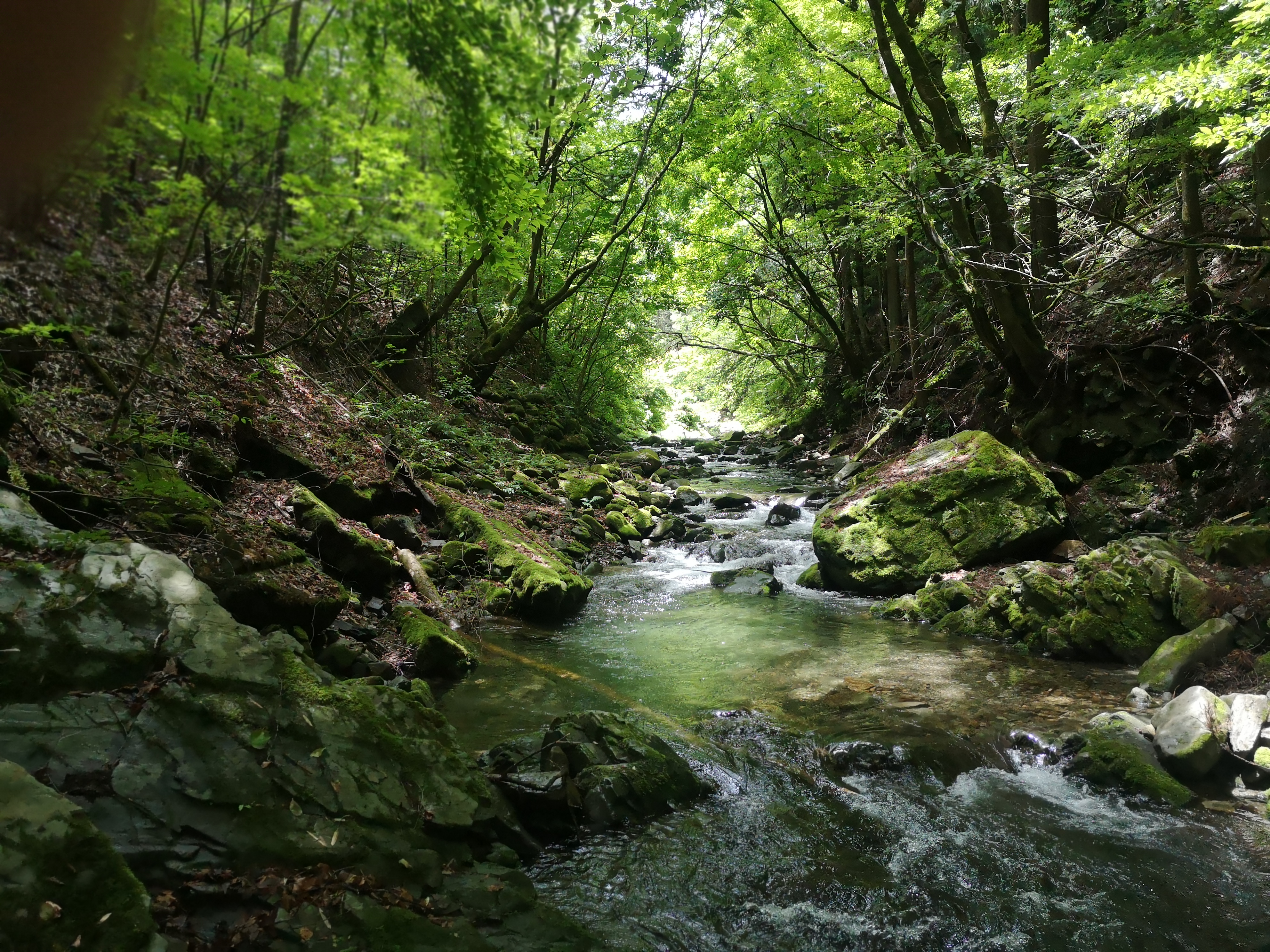 東京・檜原村 | 都心から日帰りで行ける村。